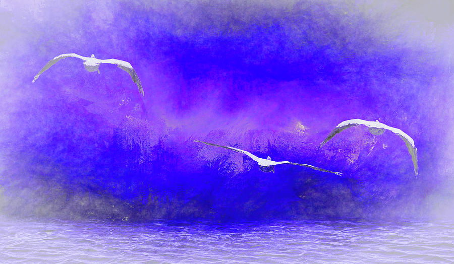 Into the Mist  Into the Night   American White Pelicans at Sea Abstract 2 Digital Art by Linda Brody