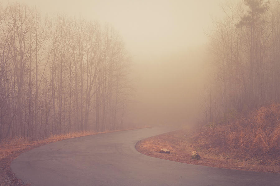 Into the Mist Photograph by Joni Eskridge