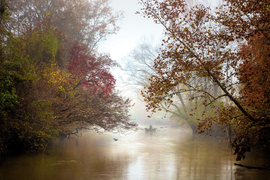 Into the Mist of Autumn Photograph by Debra and Dave Vanderlaan