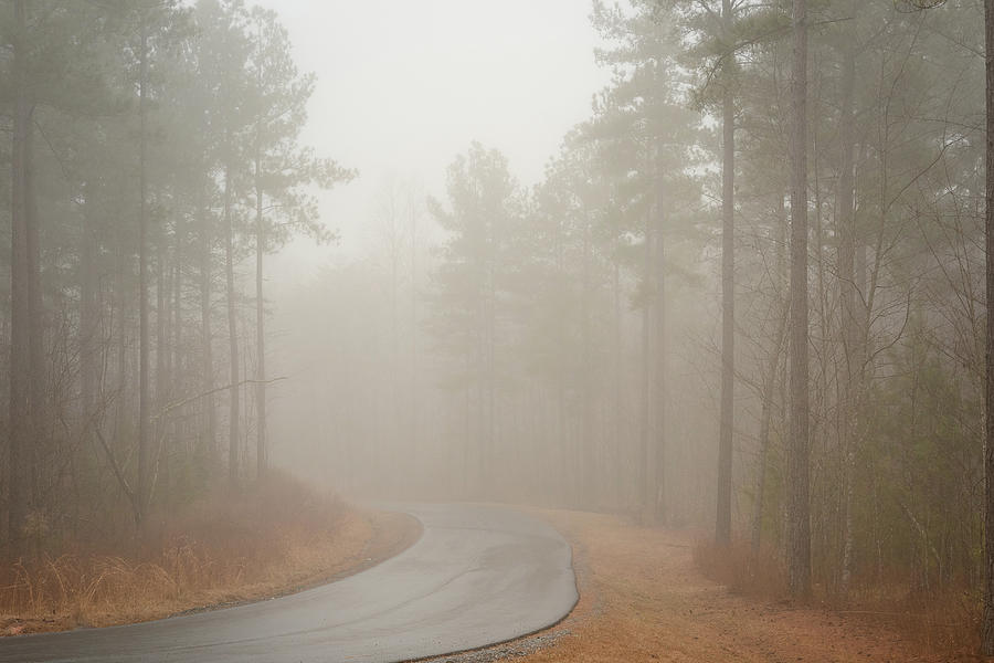 Into the Mist Part 3 Photograph by Joni Eskridge