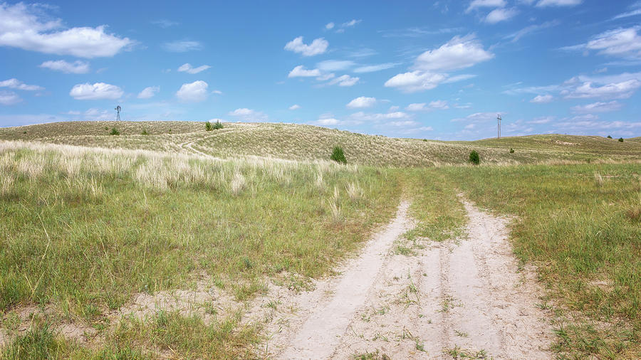Into the Sandhills Photograph by Susan Rissi Tregoning