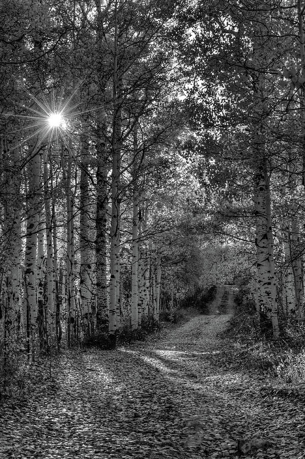 Into The Universe Photograph by George Buxbaum Into The Universe Photograph by George Buxbaum
