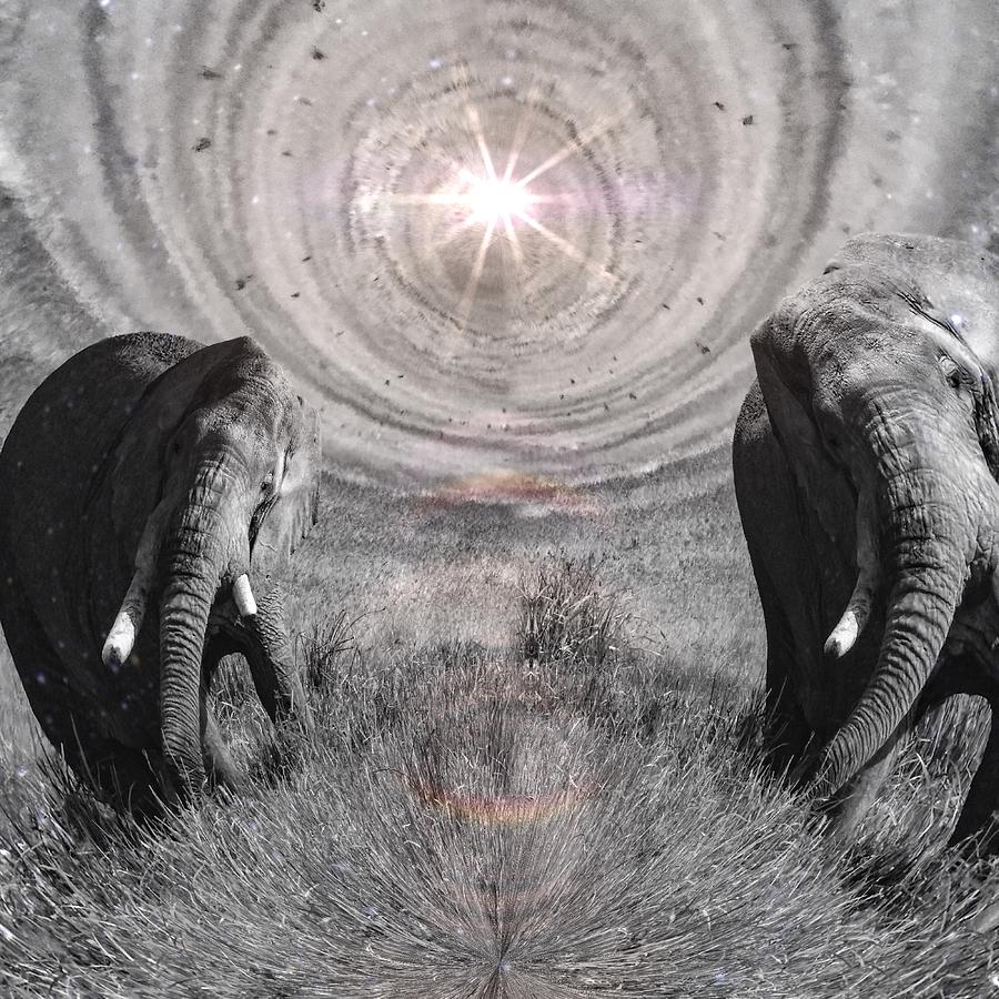 Into The Vortex Again by Elie Wolf Into The Vortex Again by Elie Wolf