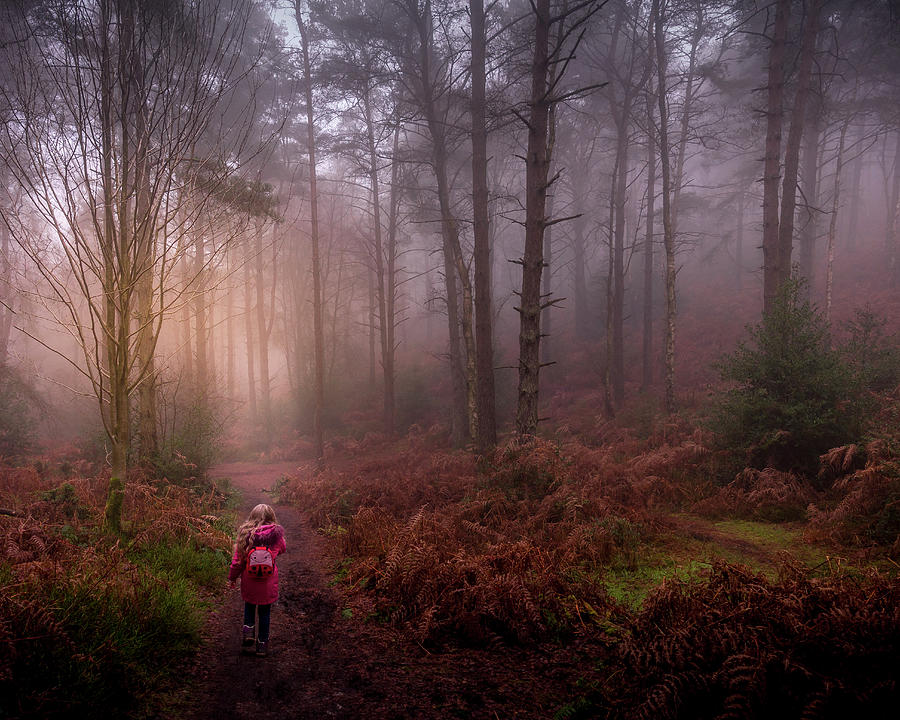 Into the woods  Photograph by Chris Boulton