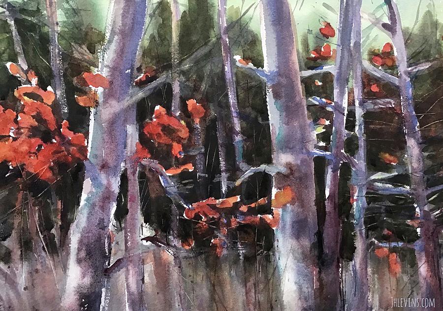 Into the Woods Painting by Judith Levins