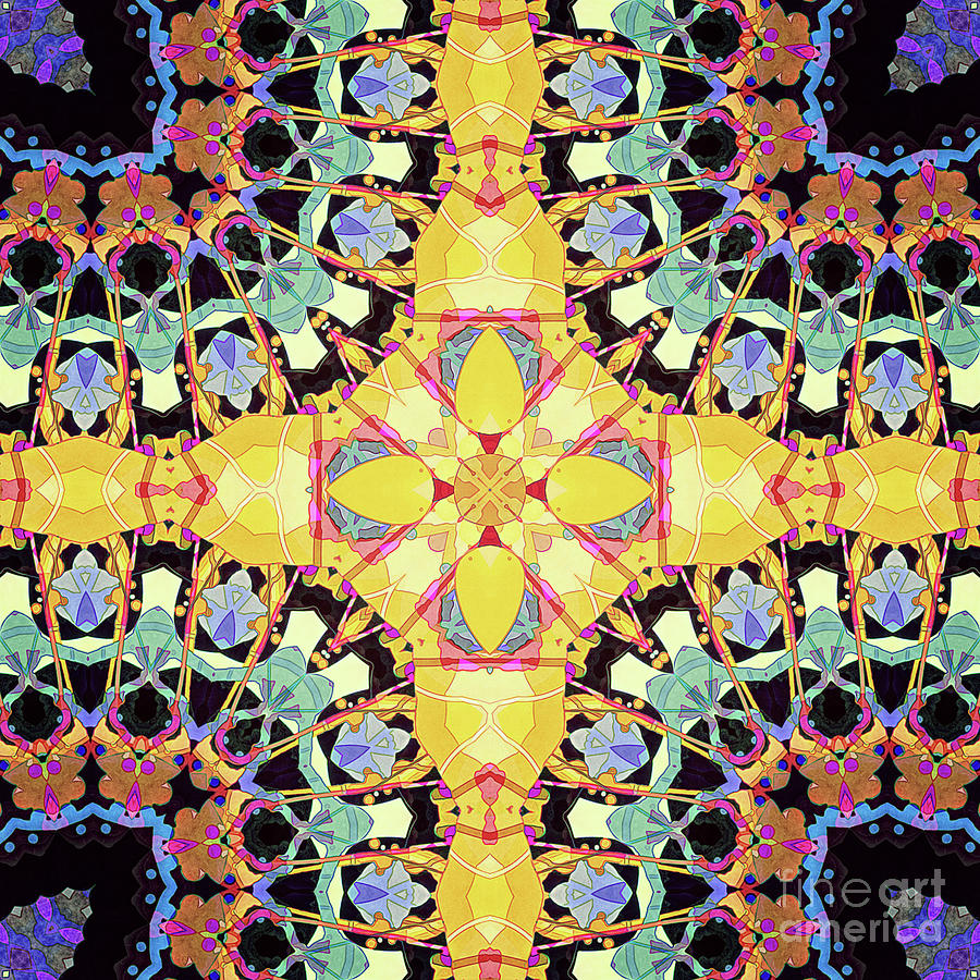 Intricate Abstract Pattern Digital Art by Phil Perkins Intricate Abstract Pattern Digital Art by Phil Perkins