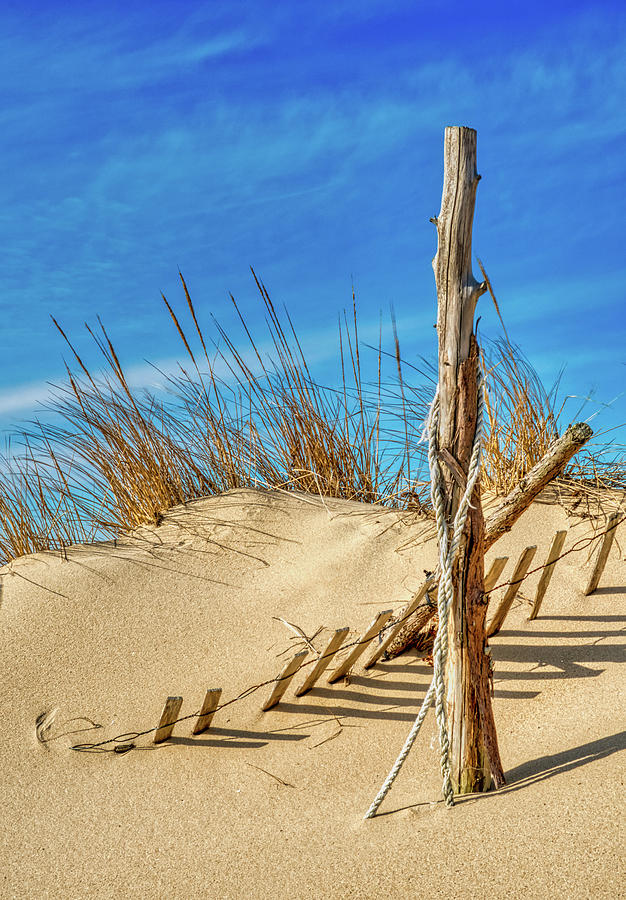 Intruders On Windswept Sand Dune Photograph by Gary Slawsky