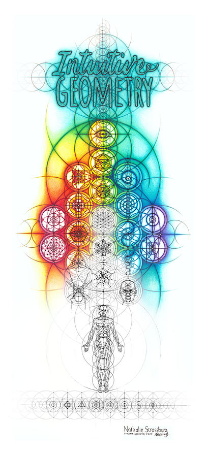 Intuitive Geometry Banner with line art Drawing by Nathalie Strassburg