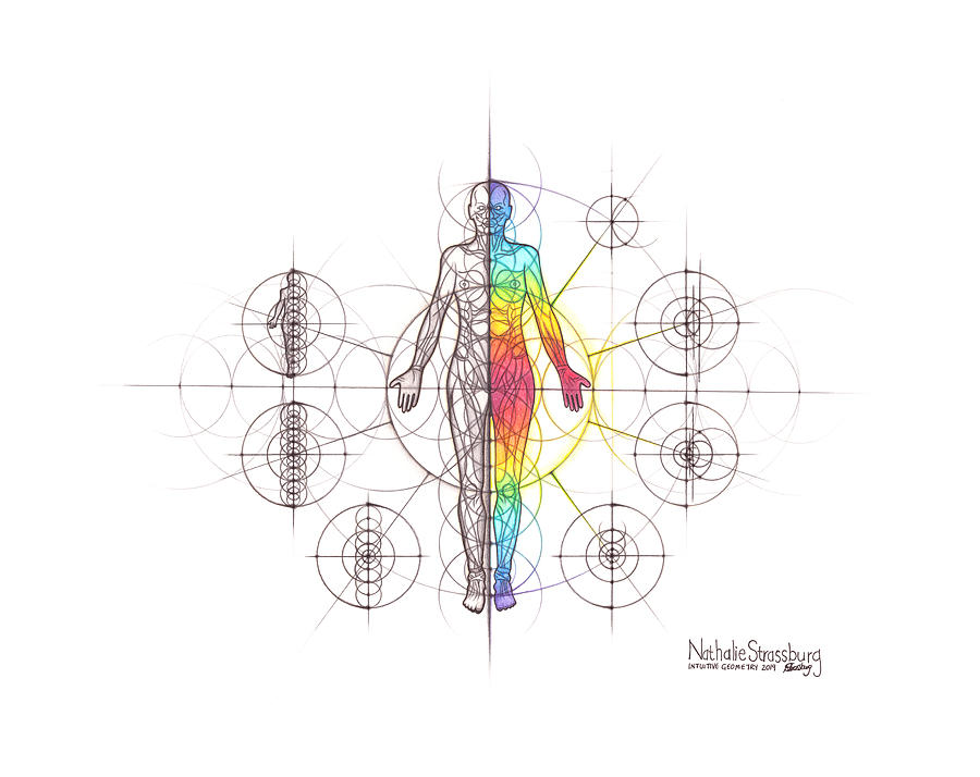 Intuitive Geometry Human Anatomy - Body Drawing by Nathalie Strassburg