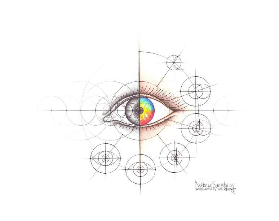 Intuitive Geometry Human Anatomy - Eye Drawing by Nathalie Strassburg