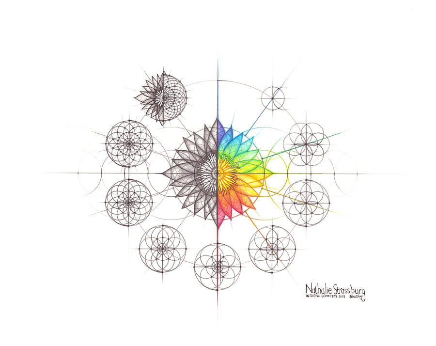 Intuitive Geometry Lotus Drawing by Nathalie Strassburg