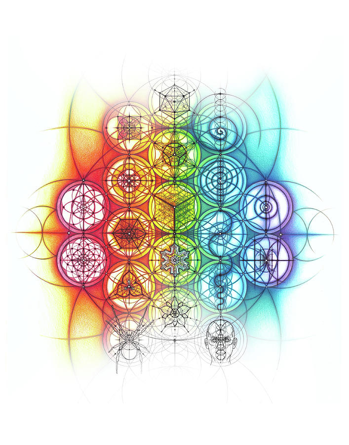 Intuitive Geometry Spectrum Flower of Life Circle Models Drawing by Nathalie Strassburg