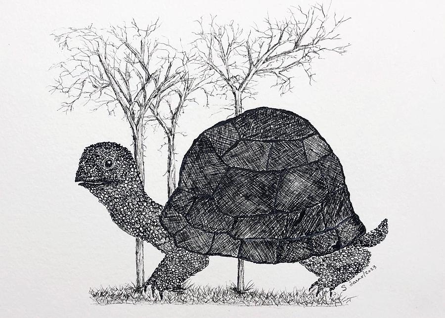 Invasion of the Tortoise Drawing by Sandra Tarno - Fine Art America