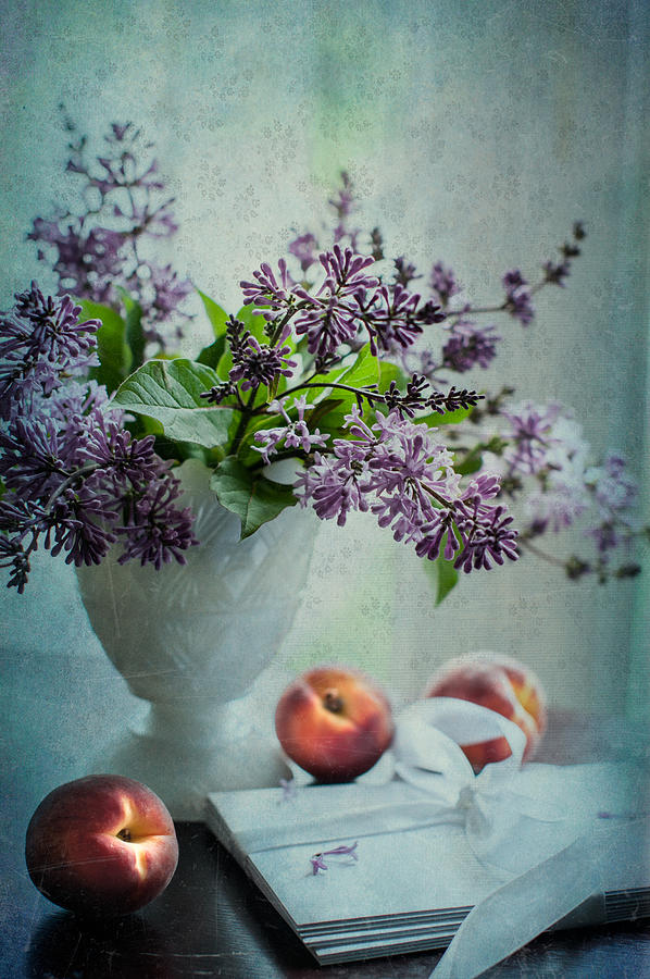 Invitation to Spring Photograph by Maggie Terlecki