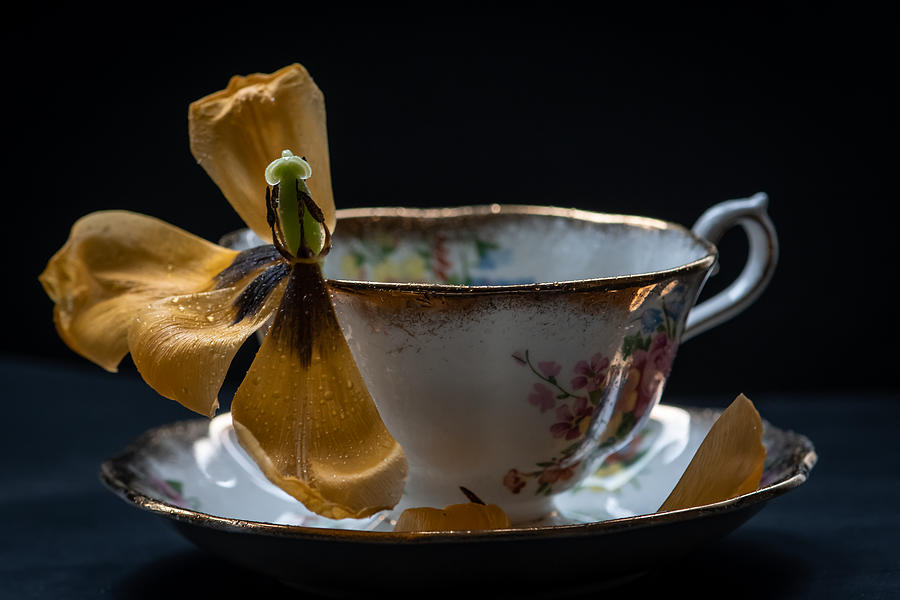 Still Life Photograph - Invitation to Tea by Maggie Terlecki