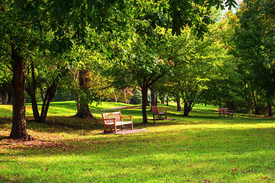 Invited To Sit Photograph by Denise Harty - Fine Art America