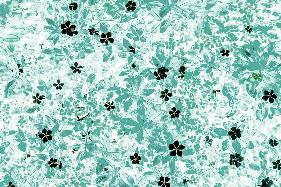 Involution Digital Art by Jorgo Photography Involution Digital Art by Jorgo Photography