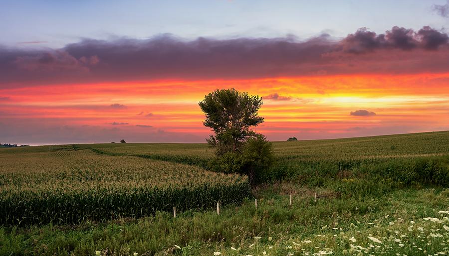 Field Of Dreams Posters for Sale - Fine Art America