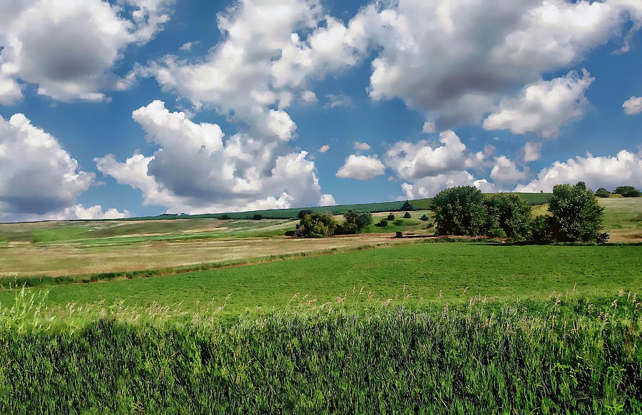 Iowa Farmland by Anthony Dezenzio Iowa Farmland by Anthony Dezenzio