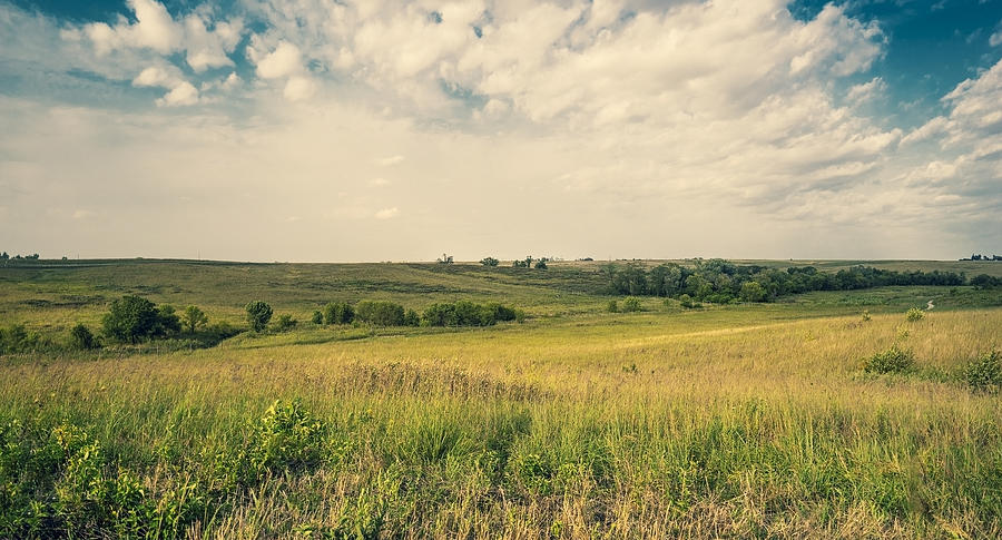Iowa prairie landscape Photograph by Claudia Totir