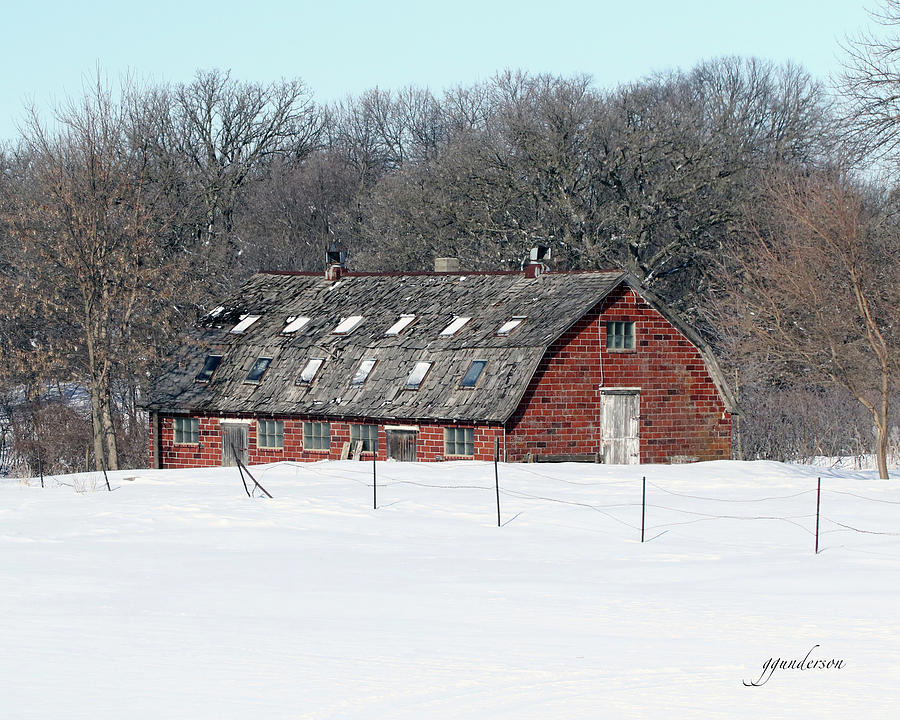 Iowa Winter Scene Photograph by Gary Gunderson