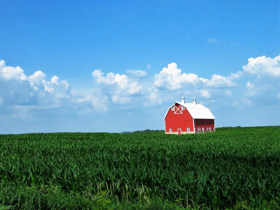 Iowa's Red, White and Blue Photograph by Lori Frisch Fine Art America