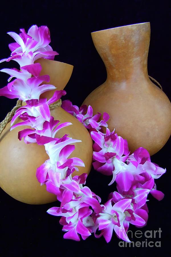 Ipu and Orchid Lei Photograph by Mary Deal