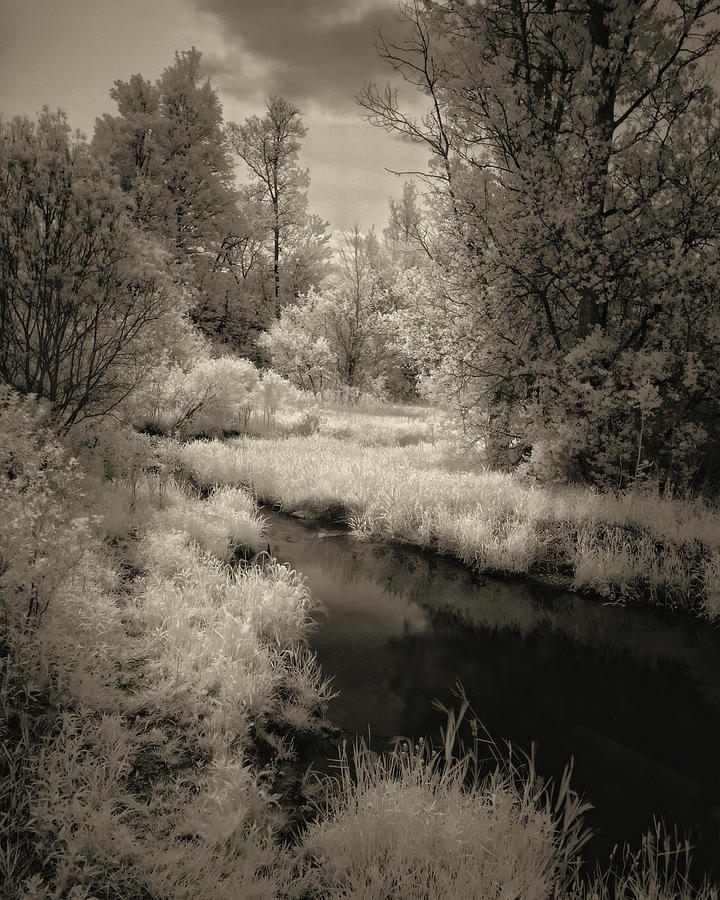 Ir #2 Photograph by Jerry Golab