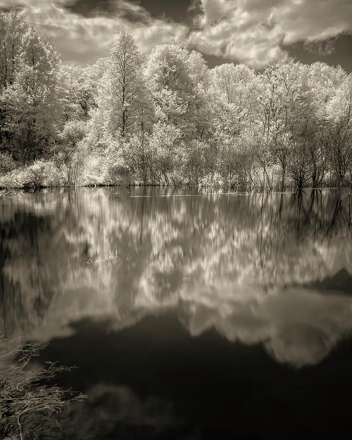 Ir #3 Photograph by Jerry Golab
