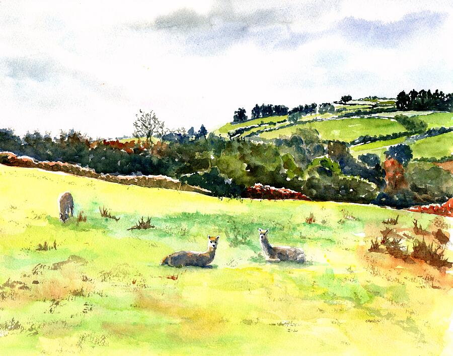 Ireland Alpaca Farm Landscape Painting by Carlin Blahnik CarlinArtWatercolor