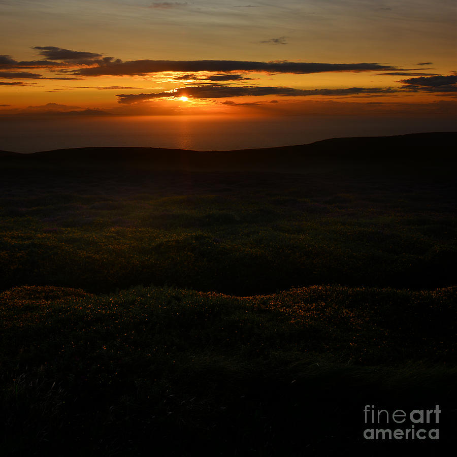 Ireland - land of golden light Photograph by Paul Davenport