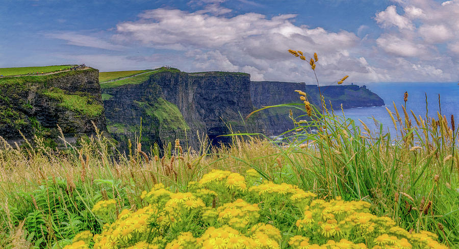 Irelands Cliffs of Moher Photograph by Marcy Wielfaert