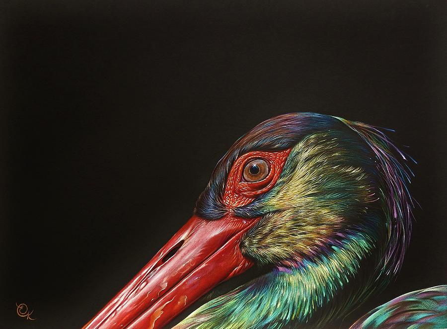 Iridescent beauty - Black Stork Drawing by Elena Kolotusha
