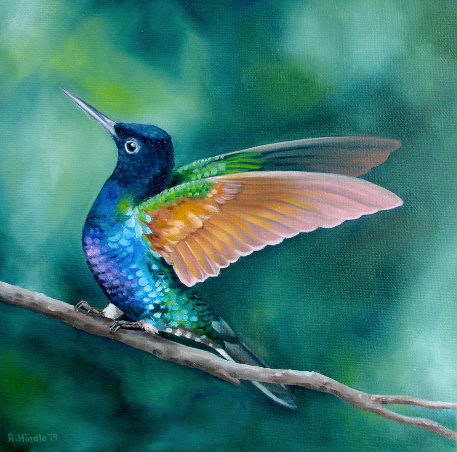 Hummingbird Painting - Iridescent Hummingbird by Rachel Hindle