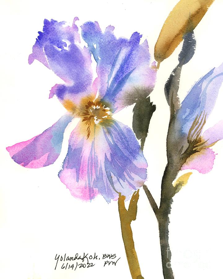 Iris #21 Painting by Yolanda Koh