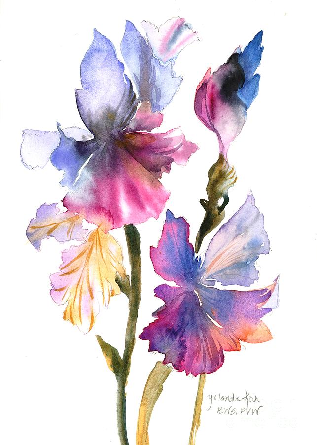 Iris #22 Painting by Yolanda Koh