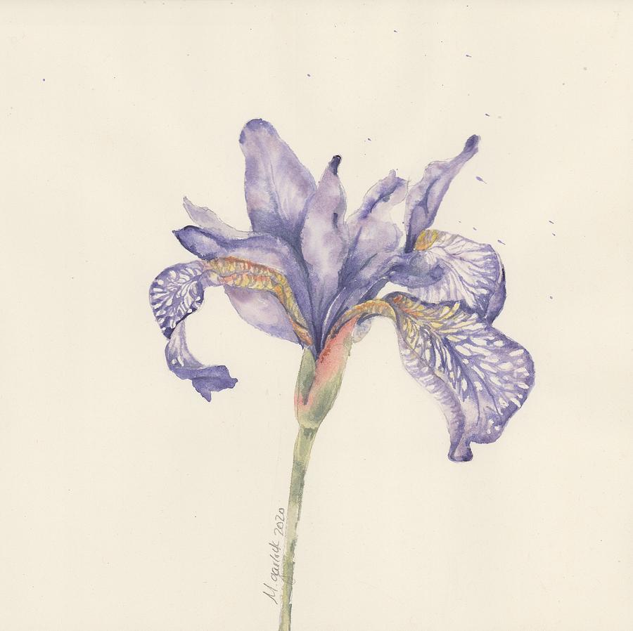 Iris 3 Painting by Michelle Garlock