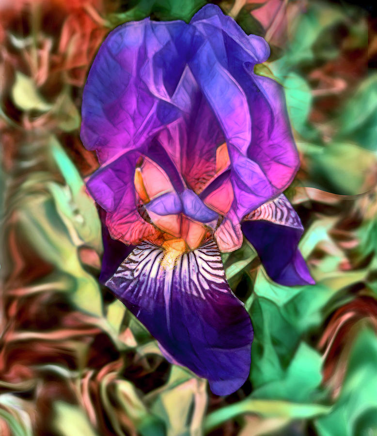 Iris Abstract Photograph by Her Arts Desire