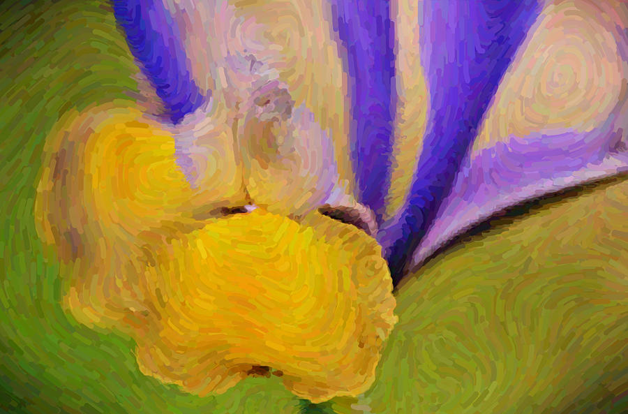 Iris Abstract Impressionist Gouache Digital Art by Gaby Ethington
