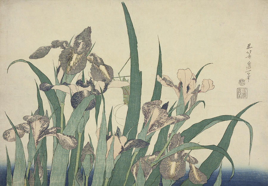 Iris and Grasshopper, from an untitled series of large flowers Relief by Katsushika Hokusai