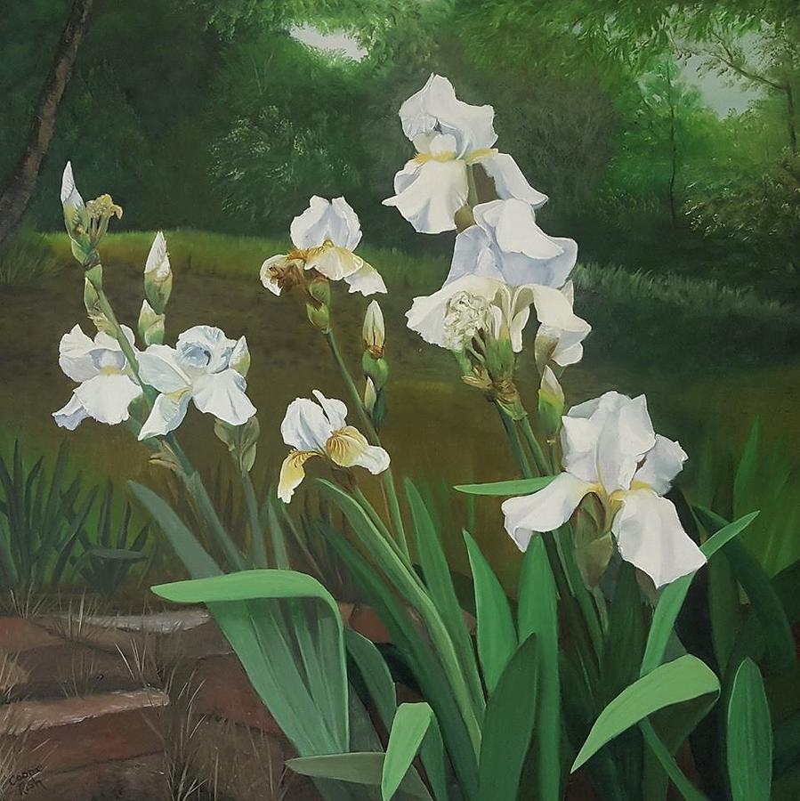 Iris Bed Painting by Connie Rish