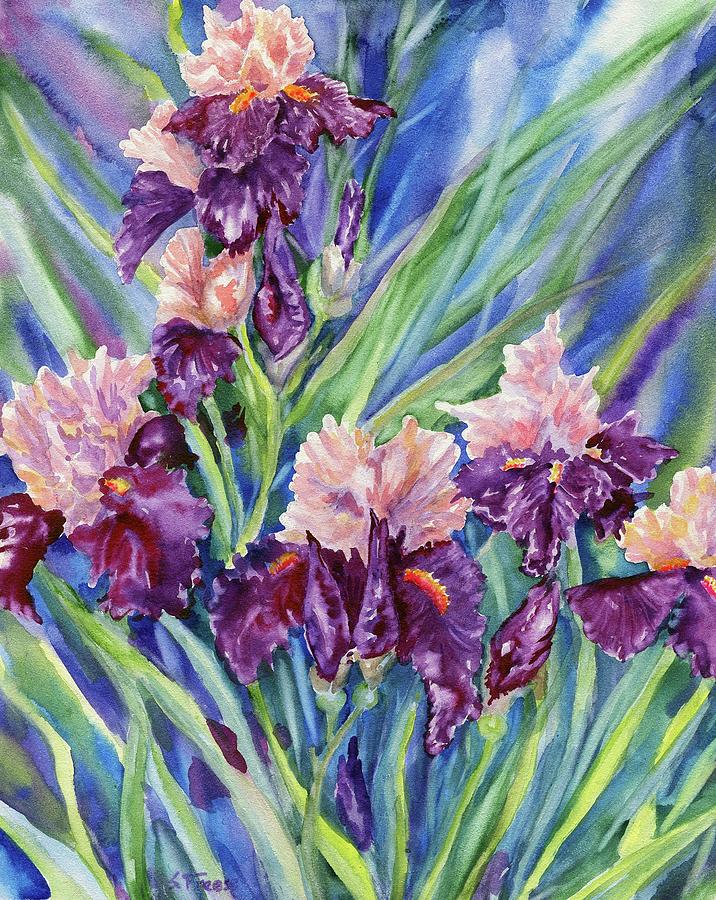 Iris Buds and Blooms Painting by Shelley Freese