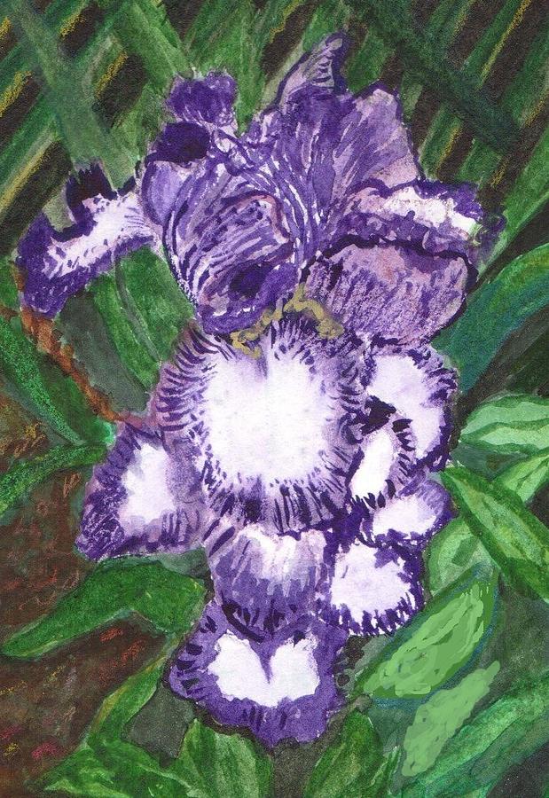 Iris by my Fence Painting by Vickie G Buccini