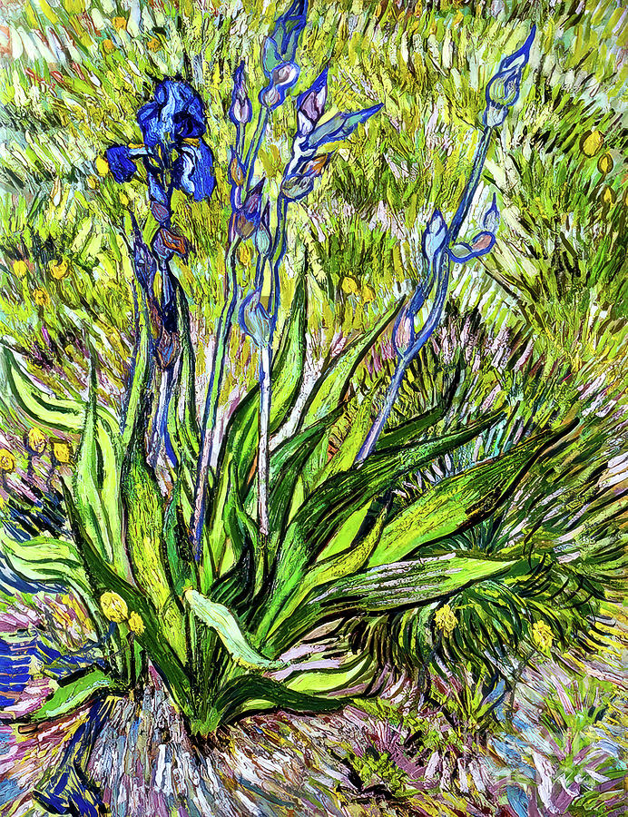 Iris by Van Gogh Painting by Vincent Van Gogh