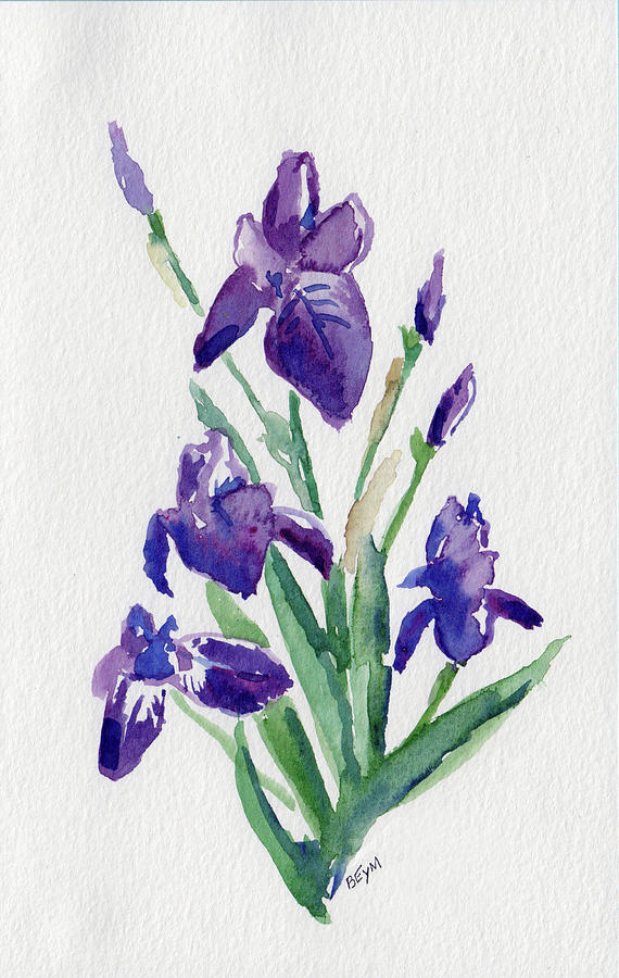 Iris Painting by Clara Sue Beym