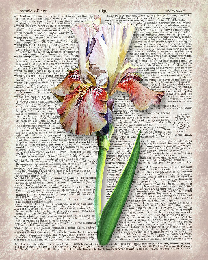 Iris Dictionary Page Watercolor Art  Painting by Irina Sztukowski