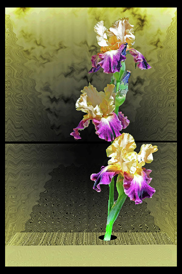 Iris Exotique Photograph by Richard Risely