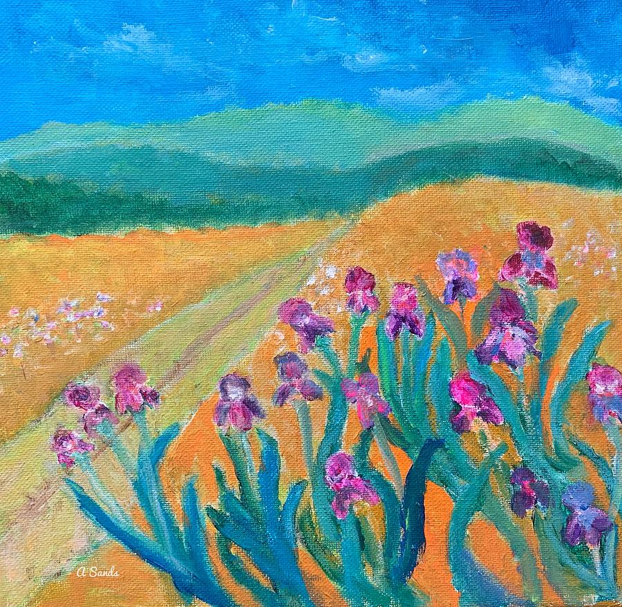Iris Field Painting by Anne Sands Fine Art America