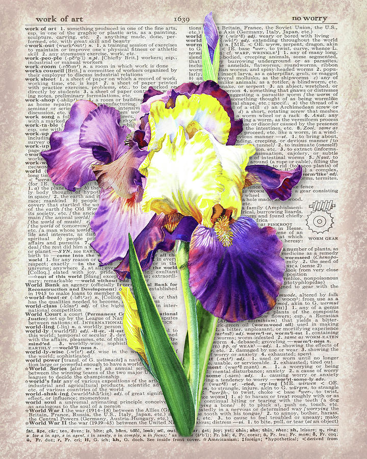 Iris Flower Dictionary Page Watercolor Art Painting by Irina Sztukowski