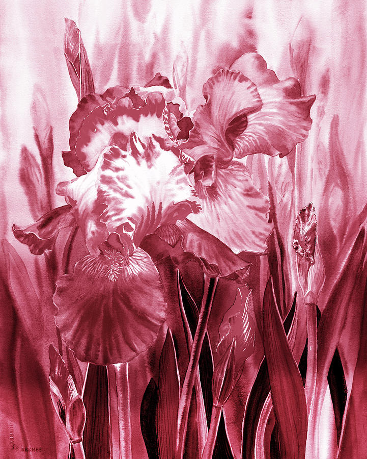 Iris Flower In The Garden In Pink Watercolor   Painting by Irina Sztukowski